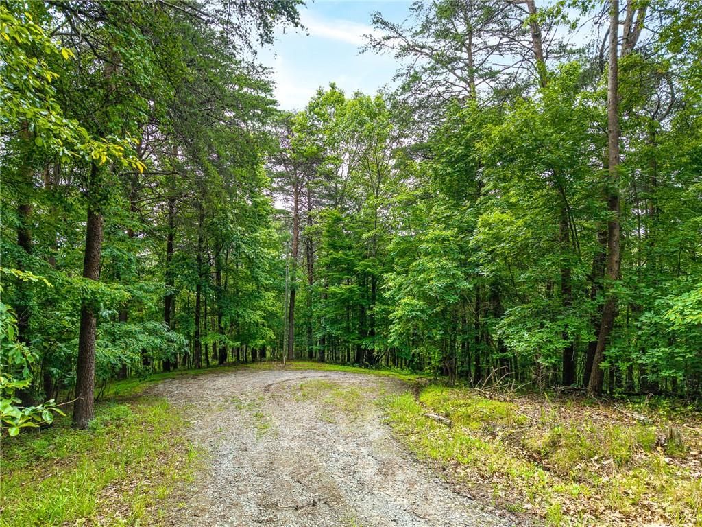 1332 Birch Lane NE, Ranger, GA 30734