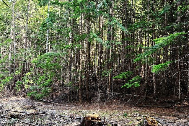 718 Slippery Slope Lot 2, Priest River, ID 83856