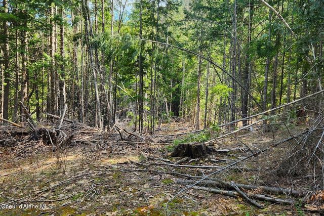 718 Slippery Slope Lot 2, Priest River, ID 83856