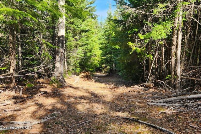 718 Slippery Slope Lot 2, Priest River, ID 83856