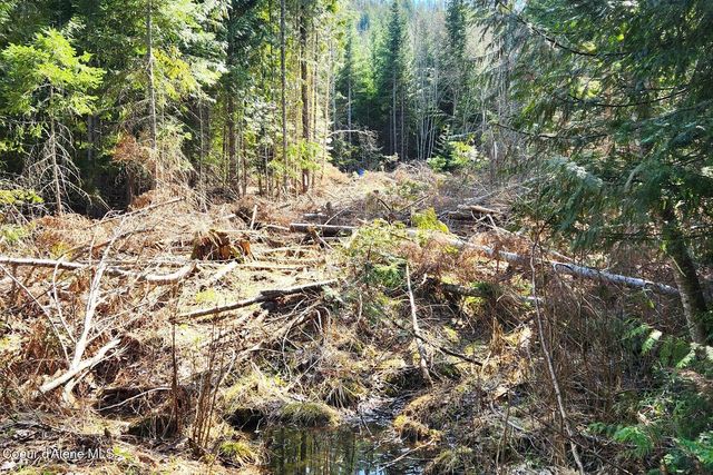718 Slippery Slope Lot 2, Priest River, ID 83856
