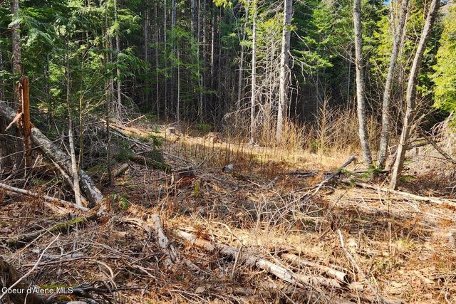 718 Slippery Slope Lot 2, Priest River, ID 83856