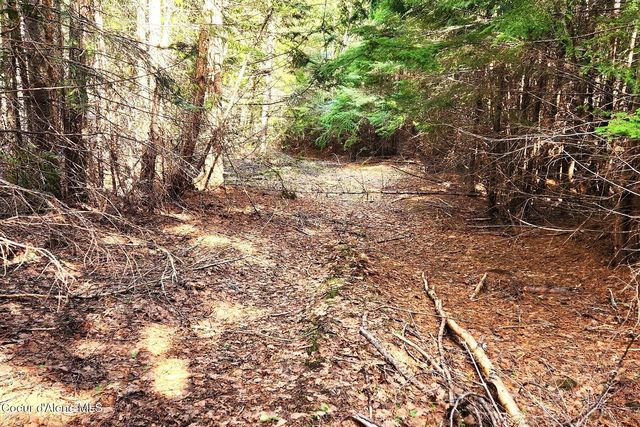 718 Slippery Slope Lot 2, Priest River, ID 83856