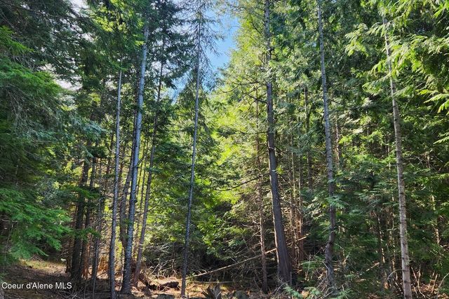 718 Slippery Slope Lot 2, Priest River, ID 83856