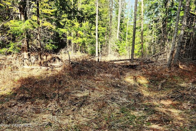718 Slippery Slope Lot 2, Priest River, ID 83856