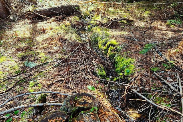 718 Slippery Slope Lot 2, Priest River, ID 83856