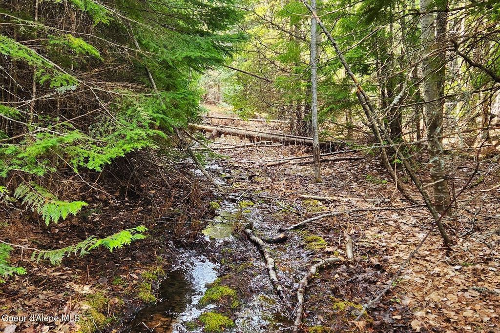 718 Slippery Slope Lot 2, Priest River, ID 83856