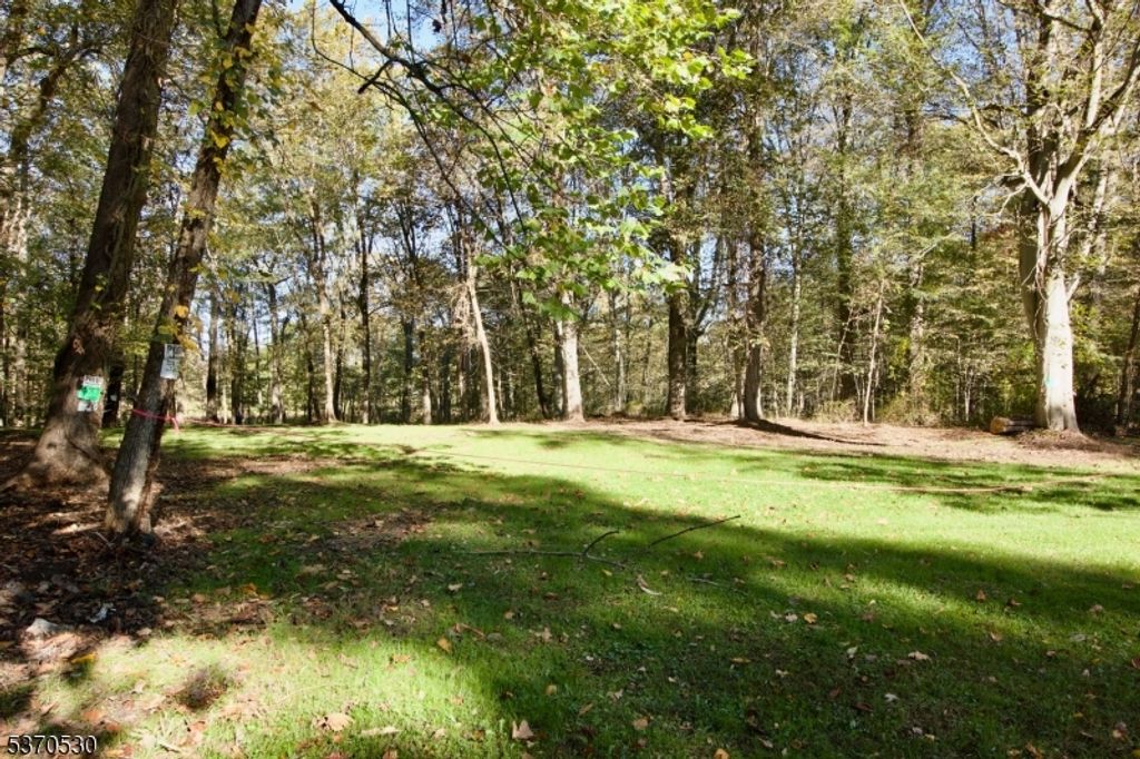 685 Shunpike Rd, Chatham Twp., NJ 07935 — photo 4