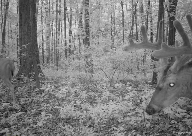 6065 Victoria Drive, Fenton, MI 48430