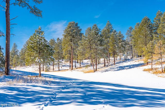 3017 S TOURMALINE Drive 11, Flagstaff, AZ 86005