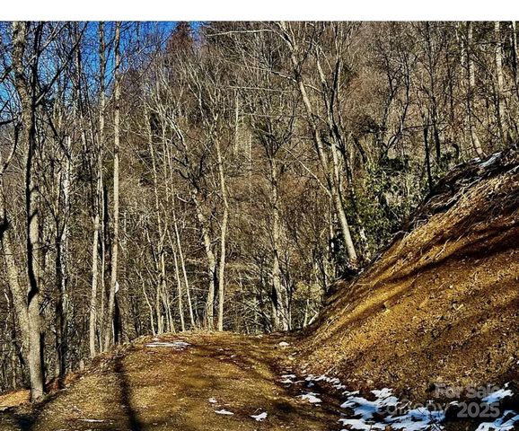 3837 Plott Balsam Road 58, Maggie Valley, NC 28779