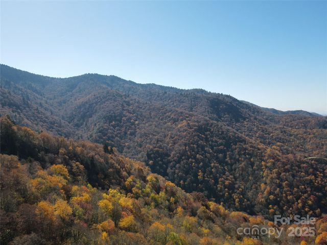 3837 Plott Balsam Road 58, Maggie Valley, NC 28779