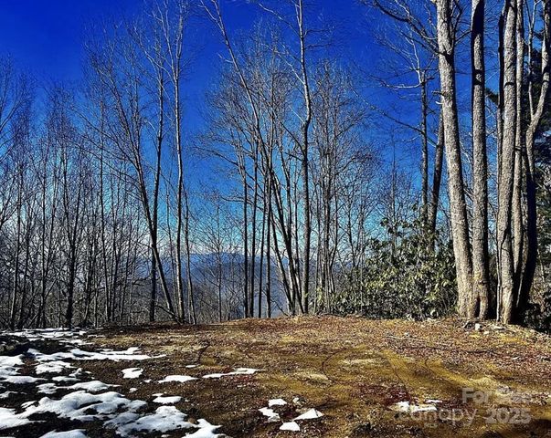3837 Plott Balsam Road 58, Maggie Valley, NC 28779