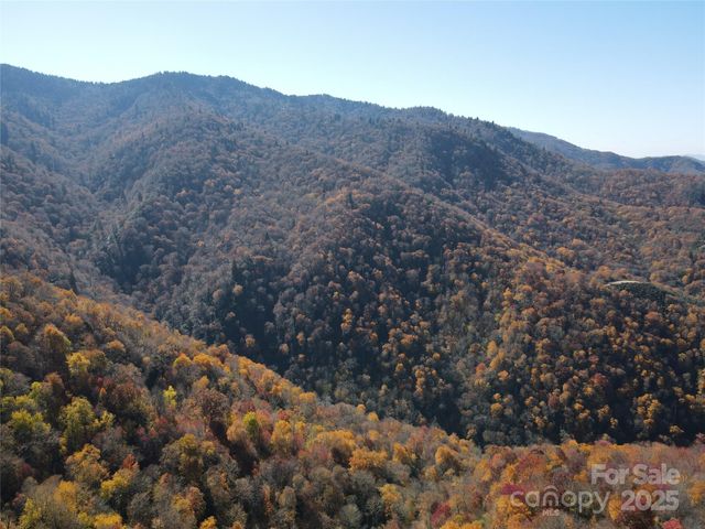 3837 Plott Balsam Road 58, Maggie Valley, NC 28779