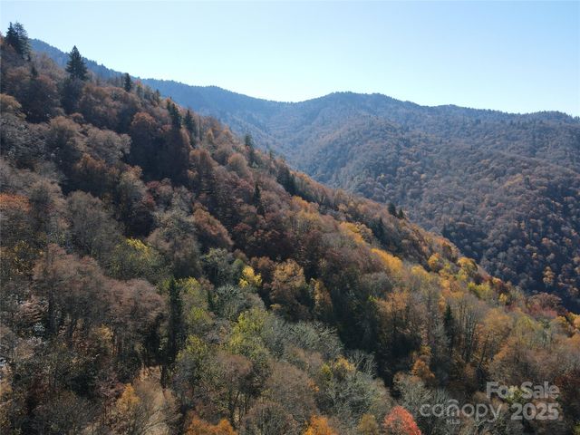3837 Plott Balsam Road 58, Maggie Valley, NC 28779