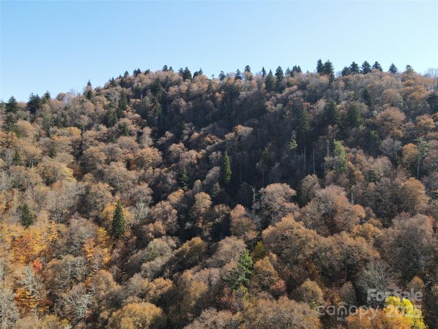 3837 Plott Balsam Road 58, Maggie Valley, NC 28779