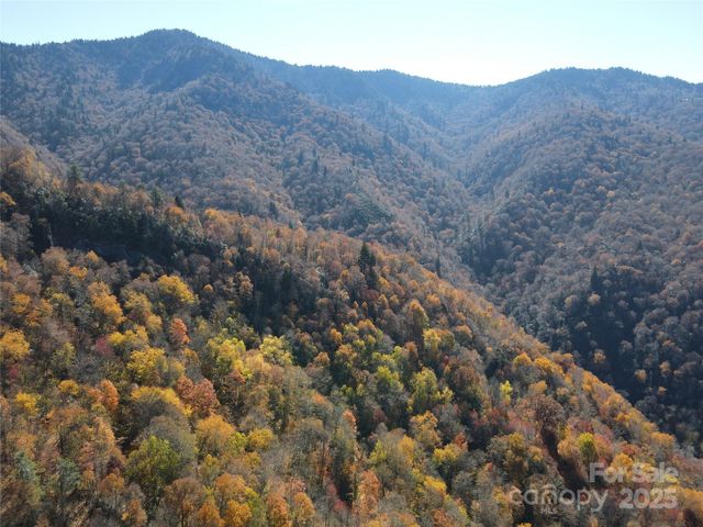 3837 Plott Balsam Road 58, Maggie Valley, NC 28779