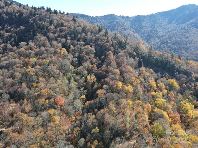 3837 Plott Balsam Road 58, Maggie Valley, NC 28779