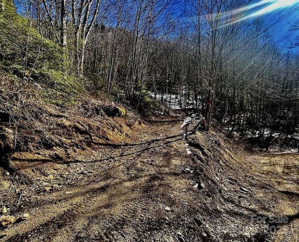 3837 Plott Balsam Road 58, Maggie Valley, NC 28779