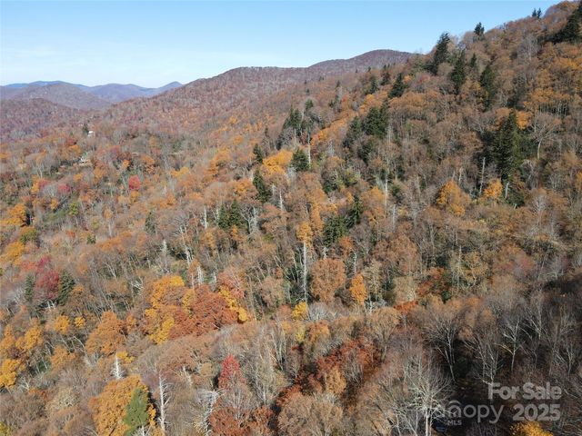 3837 Plott Balsam Road 58, Maggie Valley, NC 28779