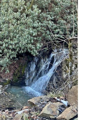 3837 Plott Balsam Road 58, Maggie Valley, NC 28779