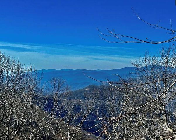 3837 Plott Balsam Road 58, Maggie Valley, NC 28779