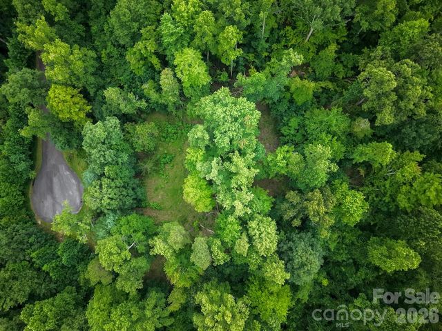 120 Ben Lippen School Road, Asheville, NC 28806