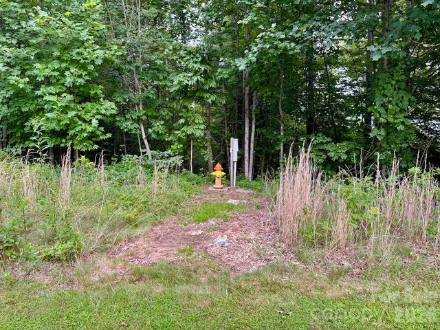 120 Ben Lippen School Road, Asheville, NC 28806