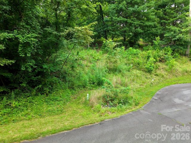 120 Ben Lippen School Road, Asheville, NC 28806