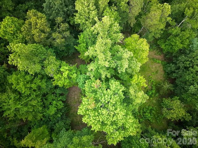 120 Ben Lippen School Road, Asheville, NC 28806