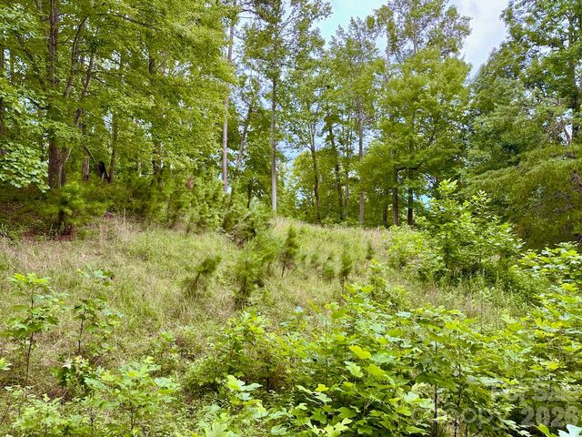 120 Ben Lippen School Road, Asheville, NC 28806