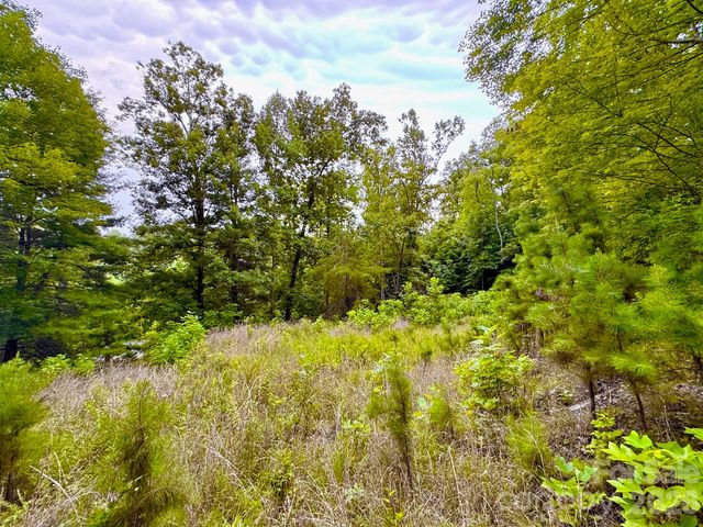 120 Ben Lippen School Road, Asheville, NC 28806