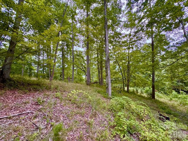 120 Ben Lippen School Road, Asheville, NC 28806