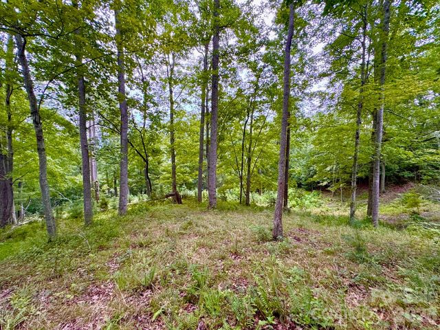 120 Ben Lippen School Road, Asheville, NC 28806