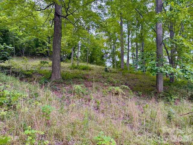 120 Ben Lippen School Road, Asheville, NC 28806