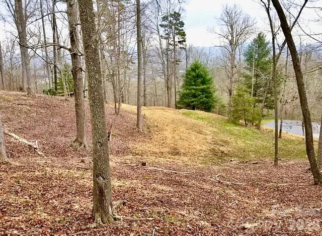 120 Ben Lippen School Road, Asheville, NC 28806