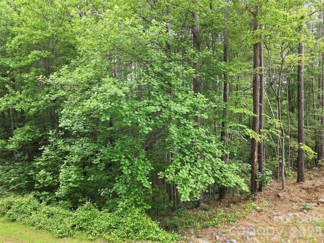 6020 Plantation Pointe Drive 91, Granite Falls, NC 28630