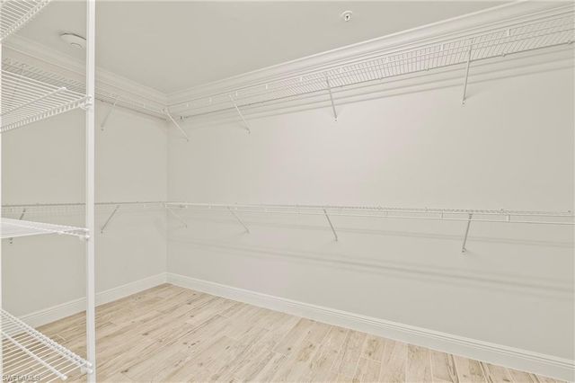 6954 Avalon CIR 703, Naples, FL 34112