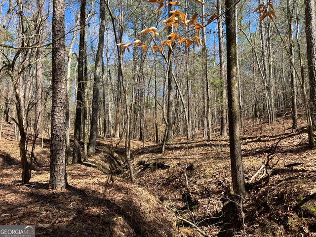 TRACT B1 Hulmes Chapel Road, Elberton, GA 30635