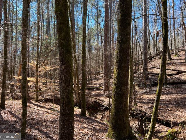 TRACT B1 Hulmes Chapel Road, Elberton, GA 30635