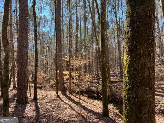 TRACT B1 Hulmes Chapel Road, Elberton, GA 30635