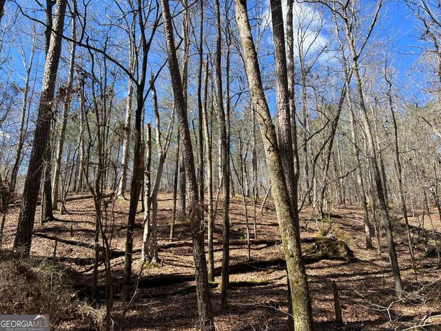 TRACT B1 Hulmes Chapel Road, Elberton, GA 30635