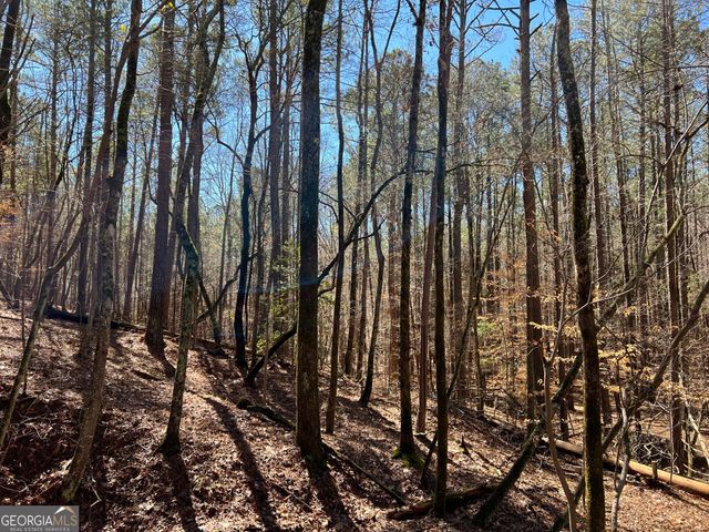 TRACT B1 Hulmes Chapel Road, Elberton, GA 30635