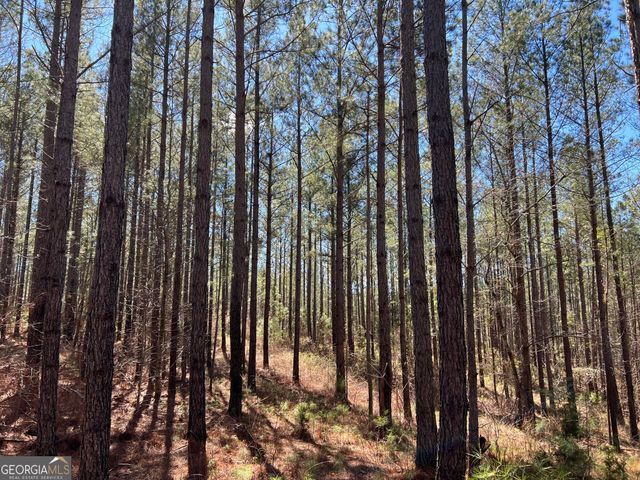TRACT B1 Hulmes Chapel Road, Elberton, GA 30635