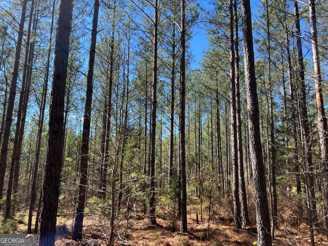 TRACT B1 Hulmes Chapel Road, Elberton, GA 30635