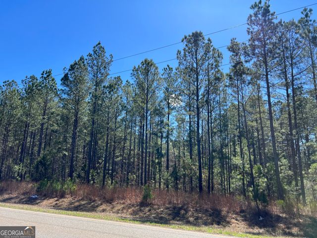 TRACT B1 Hulmes Chapel Road, Elberton, GA 30635