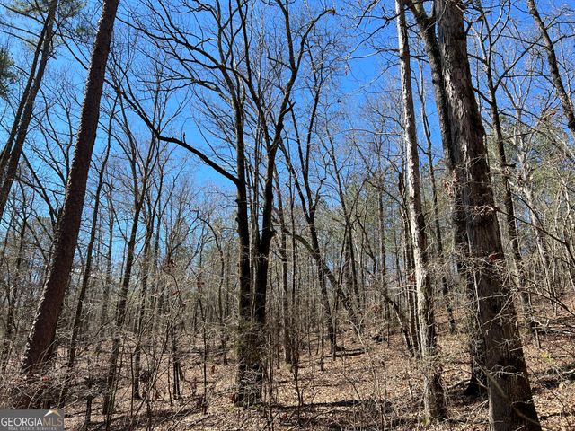 TRACT B1 Hulmes Chapel Road, Elberton, GA 30635
