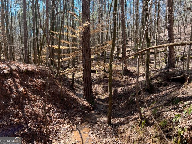 TRACT B1 Hulmes Chapel Road, Elberton, GA 30635