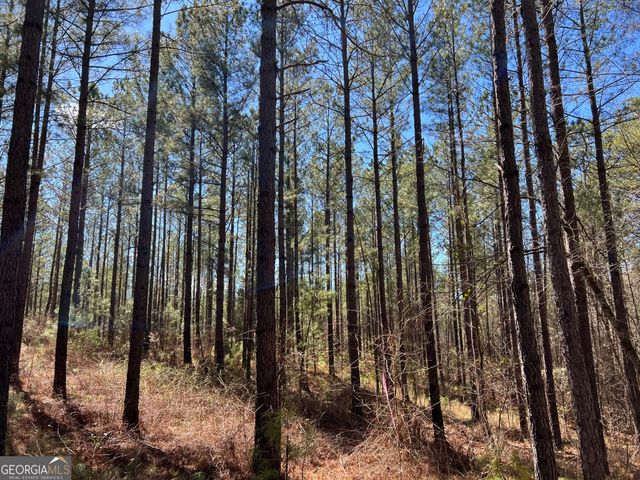 TRACT B1 Hulmes Chapel Road, Elberton, GA 30635