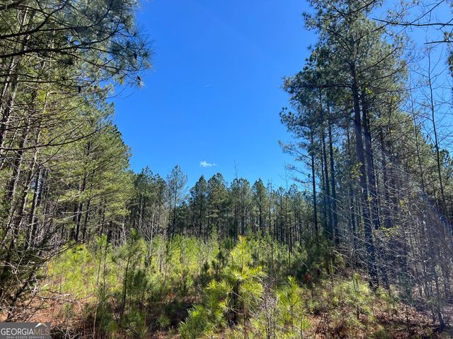 TRACT B1 Hulmes Chapel Road, Elberton, GA 30635